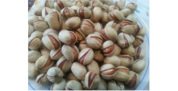 باغ تحقیقاتی پسته